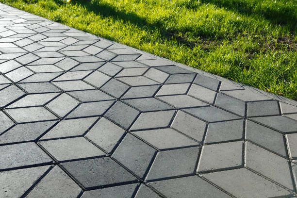 Best Driveway Paving Contractor  in Euless, TX